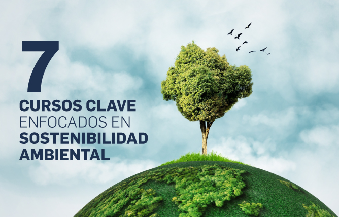 7 cursos medioambientales